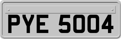 PYE5004