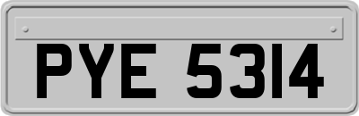 PYE5314