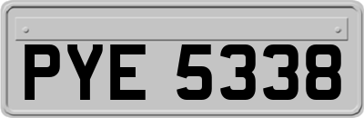 PYE5338