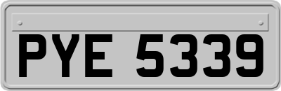 PYE5339