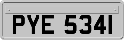 PYE5341