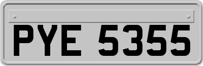 PYE5355