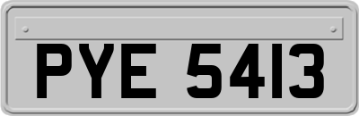 PYE5413