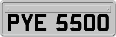 PYE5500