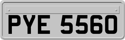 PYE5560