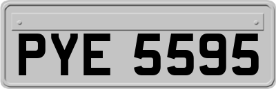 PYE5595