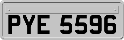 PYE5596