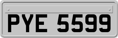 PYE5599