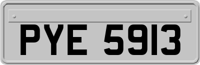 PYE5913