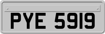 PYE5919