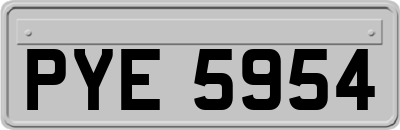 PYE5954