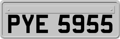 PYE5955