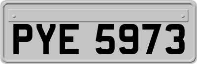 PYE5973