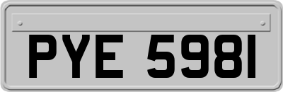 PYE5981