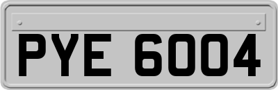 PYE6004