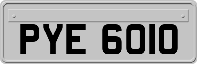 PYE6010