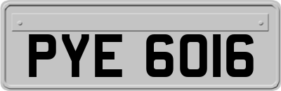 PYE6016