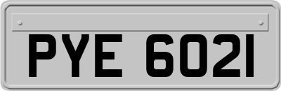 PYE6021