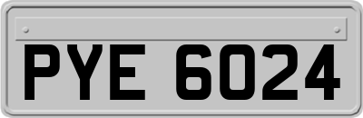 PYE6024