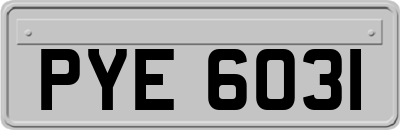 PYE6031