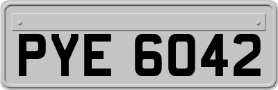 PYE6042