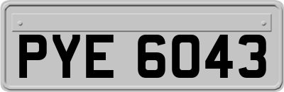 PYE6043