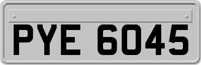 PYE6045