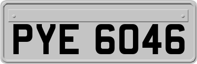 PYE6046