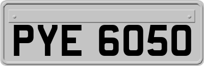 PYE6050