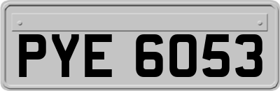 PYE6053