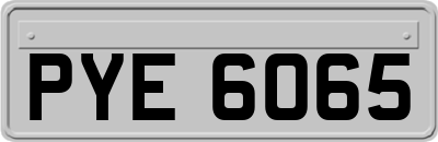 PYE6065