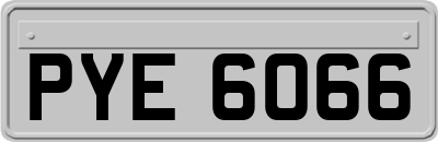 PYE6066