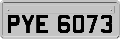 PYE6073