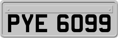 PYE6099