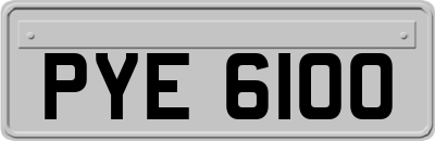 PYE6100