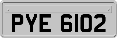 PYE6102