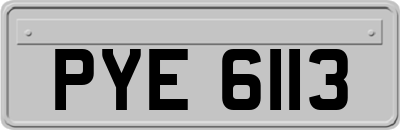 PYE6113