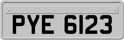 PYE6123