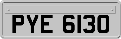 PYE6130