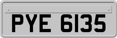 PYE6135