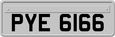 PYE6166