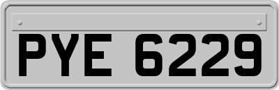 PYE6229