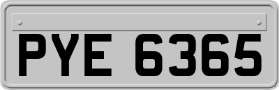 PYE6365