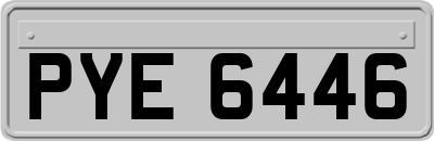 PYE6446