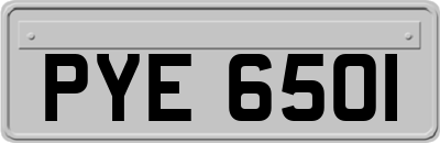PYE6501