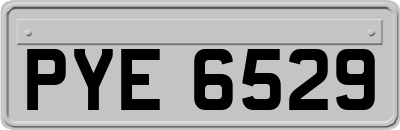 PYE6529