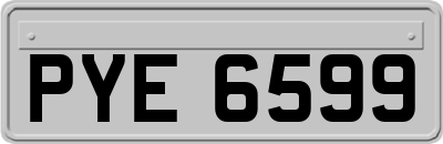 PYE6599