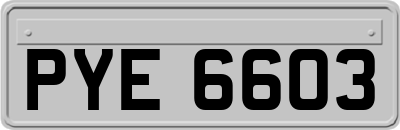 PYE6603