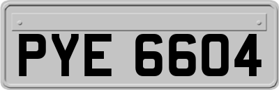 PYE6604