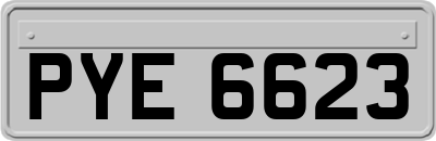 PYE6623